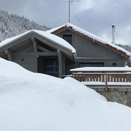 Chalet Bel Horizon La Montagne Des Lamas La Bresse Exteriér fotografie