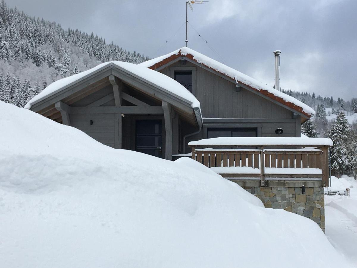 Chalet Bel Horizon La Montagne Des Lamas La Bresse Exteriér fotografie