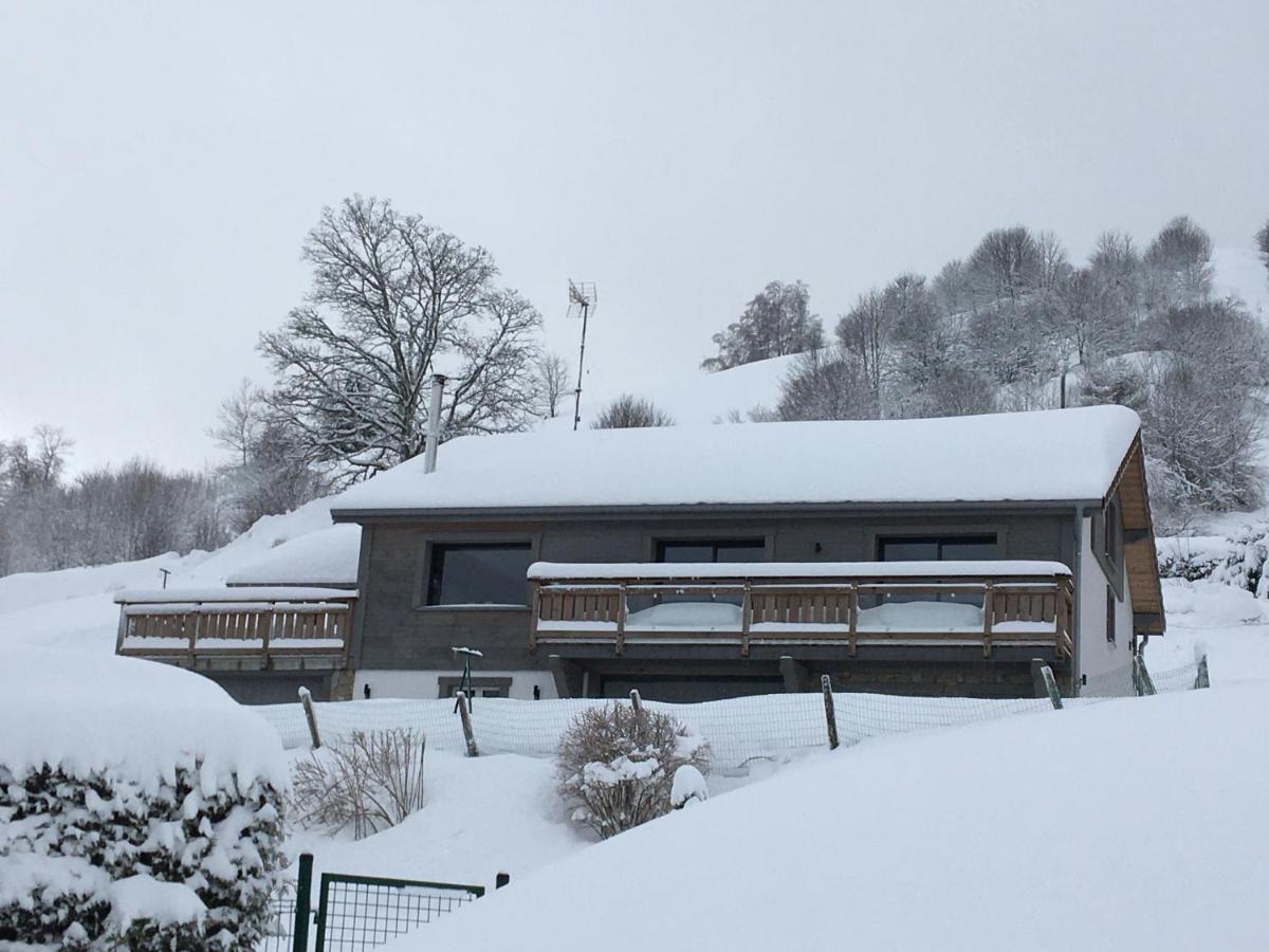 Chalet Bel Horizon La Montagne Des Lamas La Bresse Exteriér fotografie